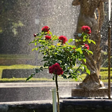 Pri Kastieli Penzion Betliar