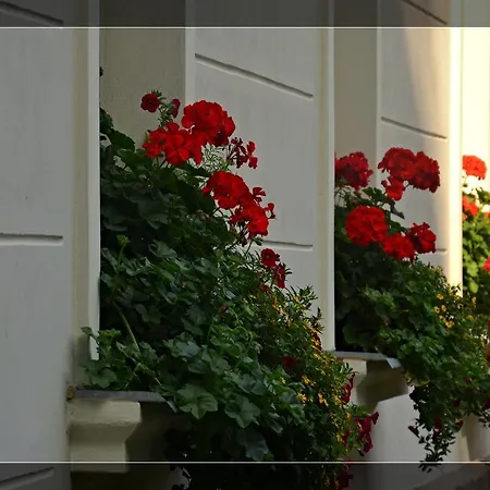 Pri Kastieli 3* Betliar